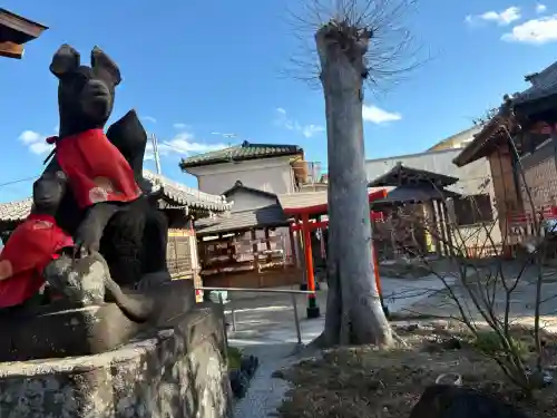 於菊稲荷神社の{uncategorized: "未分類", other: "その他", undefined: "問題あり", building: "その他建物", grave: "お墓", sacred_gate: "鳥居", guardian: "狛犬", statue: "像", buddha: "仏像", history: "歴史", nature: "自然", garden: "庭園", animal: "動物", pagoda: "塔", temizu: "手水舎", mountain_gate: "山門・神門", sanctuary: "本殿・本堂", subordinate: "末社・摂社", art: "芸術", scenery: "景色", jizo: "地蔵", ema: "絵馬", goshuin: "御朱印", omikuji: "おみくじ", items: "授与品その他", amulet: "お守り", goshuincho: "御朱印帳", eats: "食事", festival: "お祭り", votive_dance: "神楽", shichigosan: "七五三参", wedding: "結婚式", experience: "体験その他", initially: "初詣", around: "周辺", anti_infection: "感染症対策"}