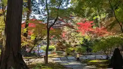 くろ谷 金戒光明寺(京都府)