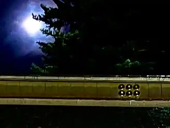 山家神社の自然