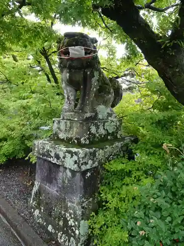 疋野神社の狛犬