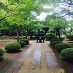 豪徳寺の建物その他