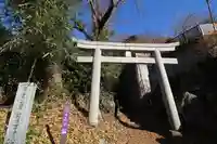 筑波山神社 女体山御本殿の鳥居