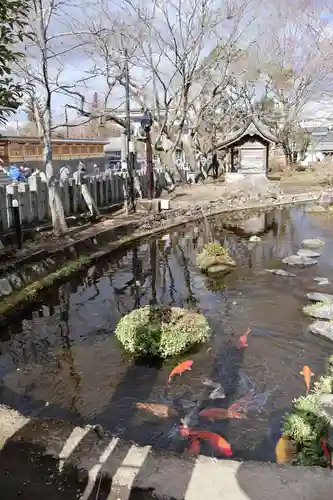 阿蘇神社(熊本県)