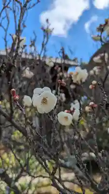 清凉寺(京都府)