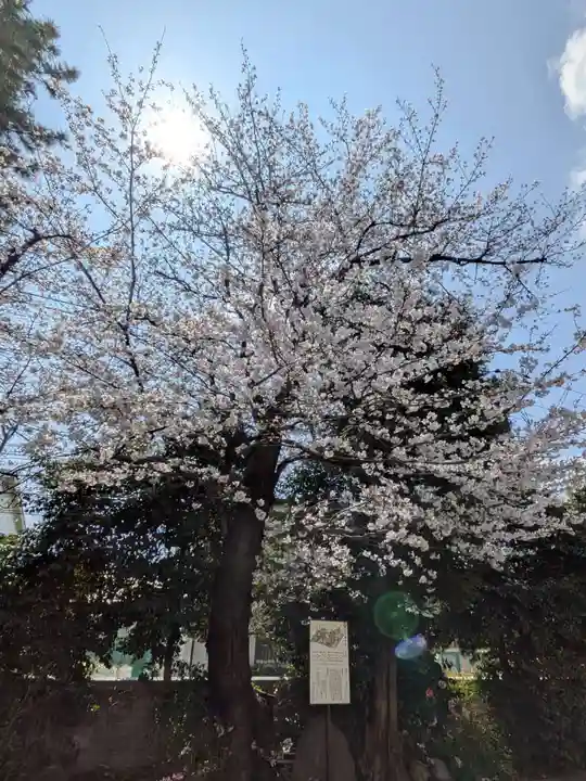 鷺宮八幡神社(東京都)