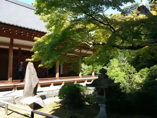 根来寺 智積院の庭園