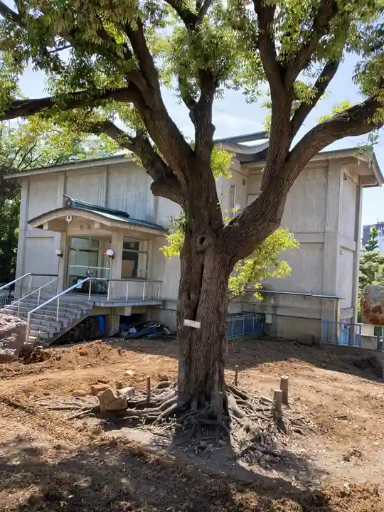 富岡八幡宮(東京都)