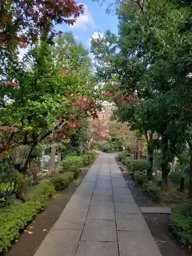 妙安寺のその他建物