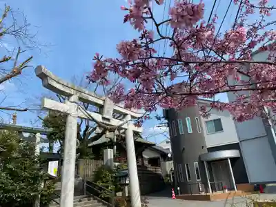 鳩ヶ谷氷川神社の鳥居