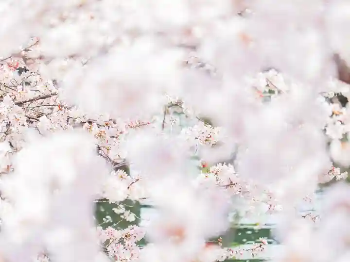 長建寺(京都府)