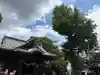 福島八幡宮(福岡県)