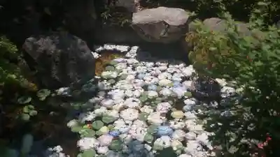 岡寺(龍蓋寺)(奈良県)