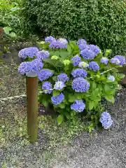 楽法寺（雨引観音）の自然