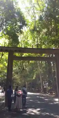 伊勢神宮外宮(豊受大神宮)の鳥居