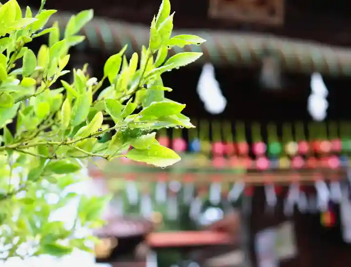 三津厳島神社の自然