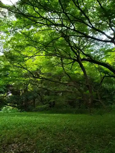 明治神宮の自然