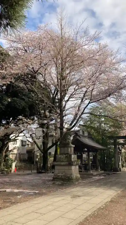 石神井氷川神社(東京都)