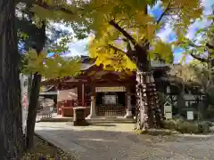 素盞雄神社の本殿