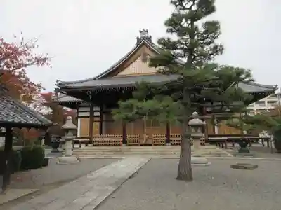 妙蓮寺の本殿・本堂