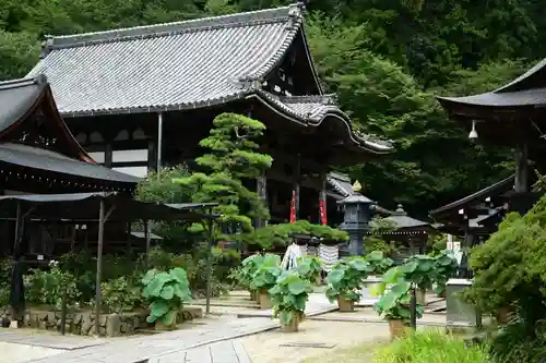 岡寺（龍蓋寺）のその他建物