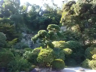 報国寺(神奈川県)