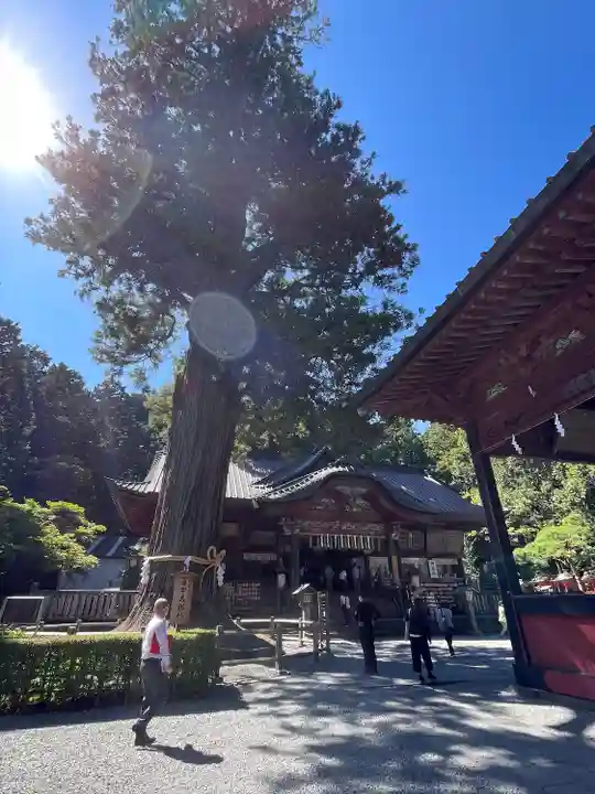 北口本宮冨士浅間神社の本殿・本堂
