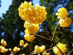 焼森山雷神神社の自然