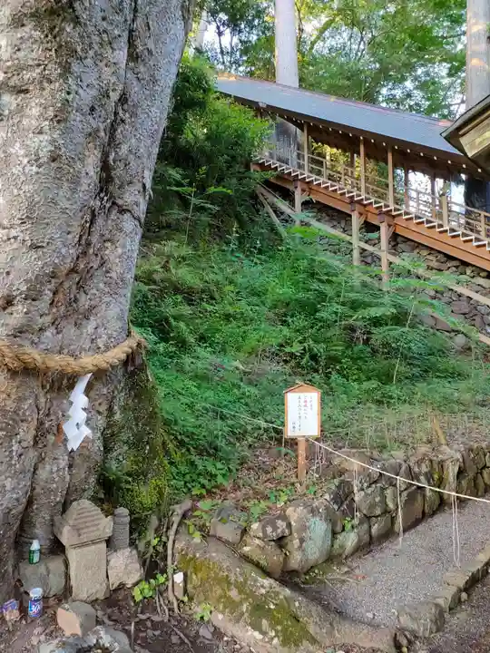 丹生川上神社(下社)の自然