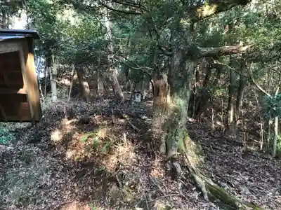 金刀比羅宮のその他建物