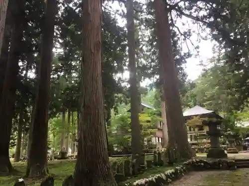 雲洞庵の自然