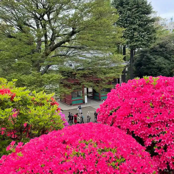 根津神社の自然