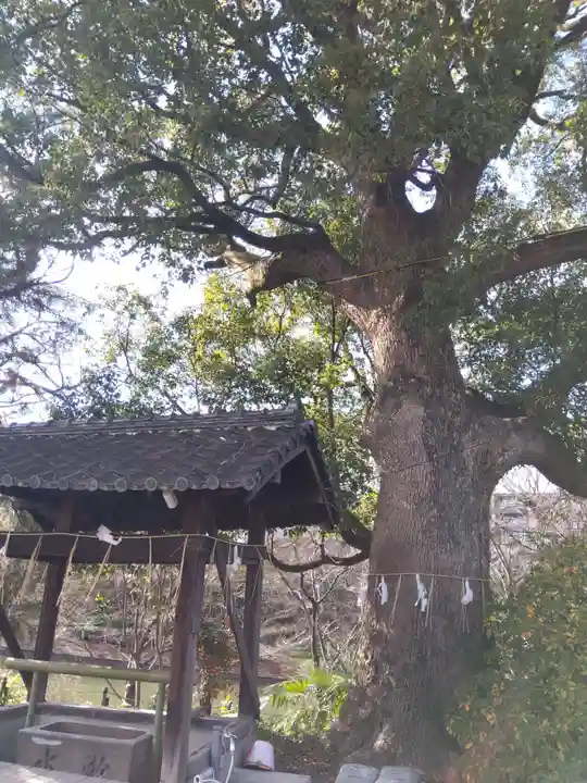金井戸神社(京都府)