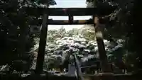 近江神宮の鳥居