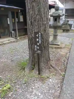 大久保青木神社(神奈川県)
