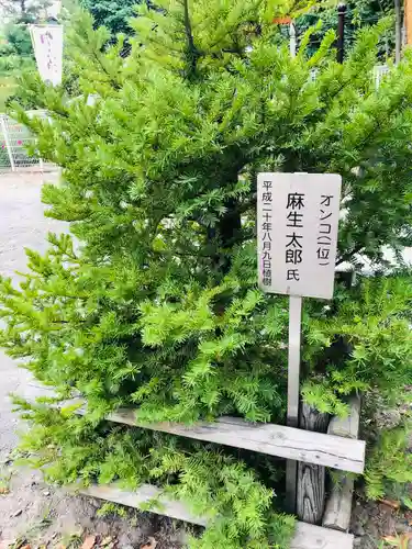 龍宮神社の自然