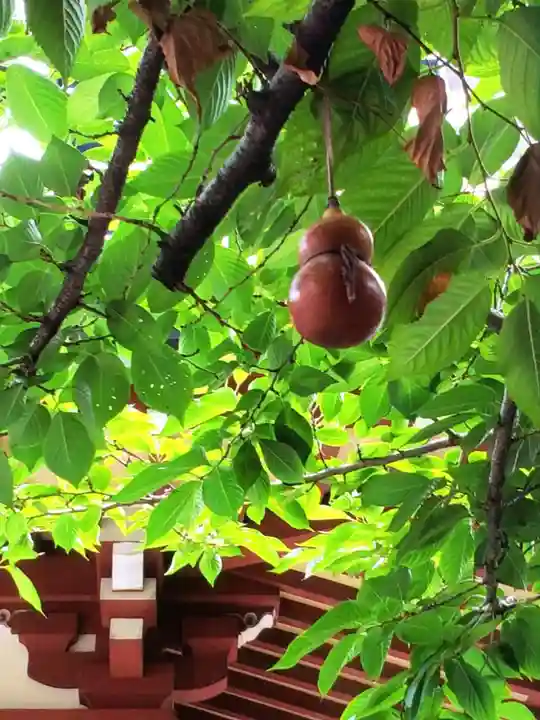 秋葉神社(東京都)