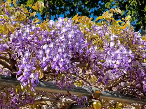 浄土寺(兵庫県)