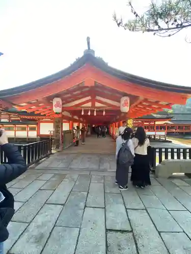 厳島神社(広島県)