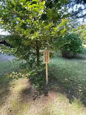 守りの神　藤基神社の{uncategorized: "未分類", other: "その他", undefined: "問題あり", building: "その他建物", grave: "お墓", sacred_gate: "鳥居", guardian: "狛犬", statue: "像", buddha: "仏像", history: "歴史", nature: "自然", garden: "庭園", animal: "動物", pagoda: "塔", temizu: "手水舎", mountain_gate: "山門・神門", sanctuary: "本殿・本堂", subordinate: "末社・摂社", art: "芸術", scenery: "景色", jizo: "地蔵", ema: "絵馬", goshuin: "御朱印", omikuji: "おみくじ", items: "授与品その他", amulet: "お守り", goshuincho: "御朱印帳", eats: "食事", festival: "お祭り", votive_dance: "神楽", shichigosan: "七五三参", wedding: "結婚式", experience: "体験その他", initially: "初詣", around: "周辺", anti_infection: "感染症対策"}