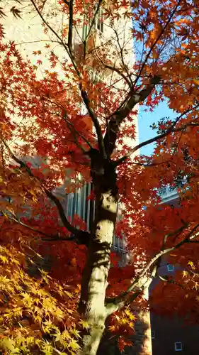 乃木神社の自然