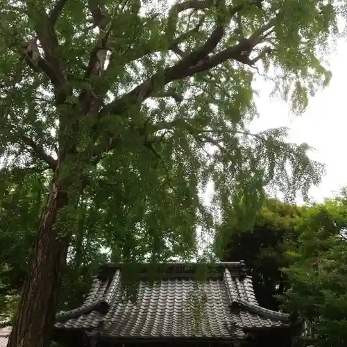 栗原氷川神社の自然