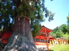 春日大社の建物その他