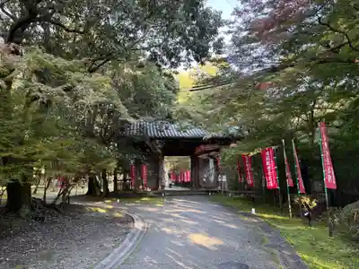 醍醐寺(京都府)