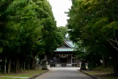 鶴谷八幡宮の本殿・本堂
