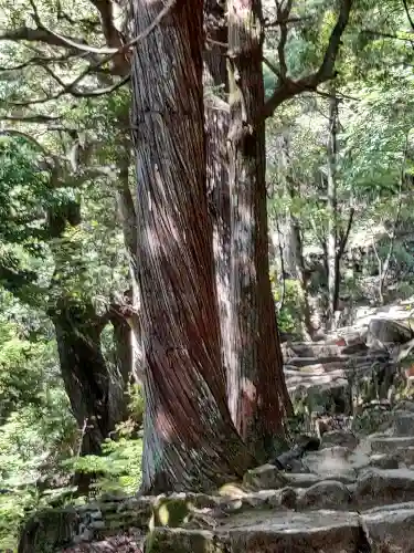 神倉神社（熊野速玉大社摂社）(和歌山県)