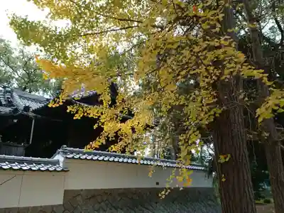三嶋神社のその他建物