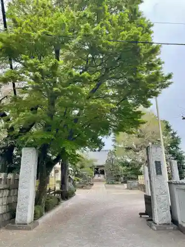 東光寺の{uncategorized: "未分類", other: "その他", undefined: "問題あり", building: "その他建物", grave: "お墓", sacred_gate: "鳥居", guardian: "狛犬", statue: "像", buddha: "仏像", history: "歴史", nature: "自然", garden: "庭園", animal: "動物", pagoda: "塔", temizu: "手水舎", mountain_gate: "山門・神門", sanctuary: "本殿・本堂", subordinate: "末社・摂社", art: "芸術", scenery: "景色", jizo: "地蔵", ema: "絵馬", goshuin: "御朱印", omikuji: "おみくじ", items: "授与品その他", amulet: "お守り", goshuincho: "御朱印帳", eats: "食事", festival: "お祭り", votive_dance: "神楽", shichigosan: "七五三参", wedding: "結婚式", experience: "体験その他", initially: "初詣", around: "周辺", anti_infection: "感染症対策"}