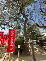 松先稲荷神社(千葉県)