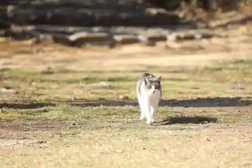 玉野御嶽神社(愛知県)