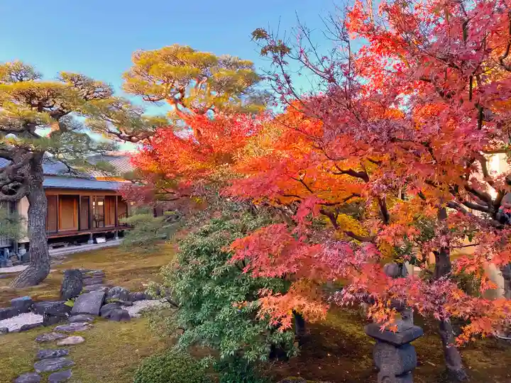 妙顯寺(妙顕寺)の庭園